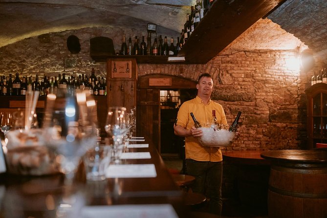 2-Hour Interactive Wine Tasting Experience in Ljubljana - A small-group format with room to ask questions