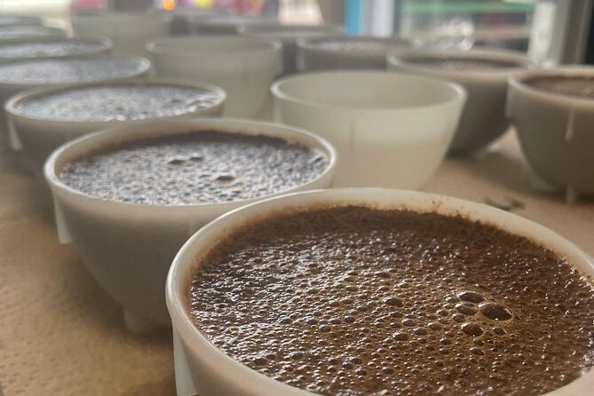 2-Hour Specialty Coffee tasting in Ljubljana - Why this Ljubljana coffee workshop is more than a tasting