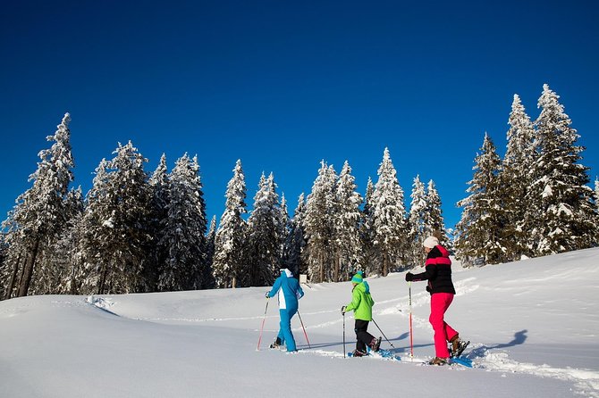 3-Hour Guided Snowshoeing Adventure in the Slovenian Alps - Key points to know before you book