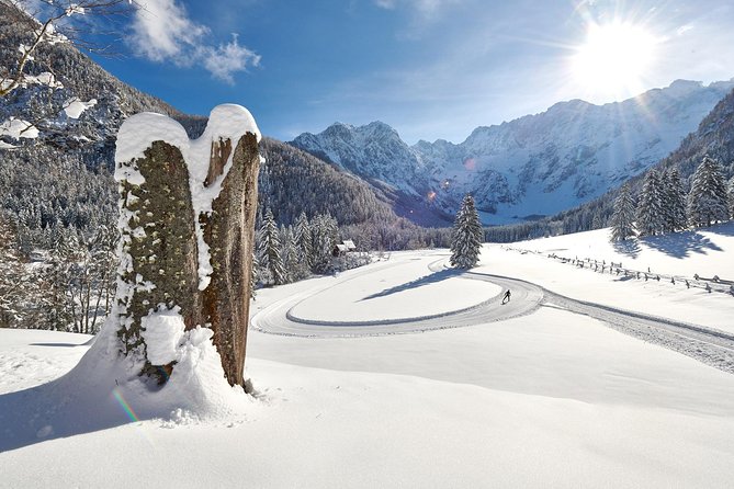 3-Hour Guided Snowshoeing Adventure in the Slovenian Alps - Leaving Bled’s fog for the Alpine snow