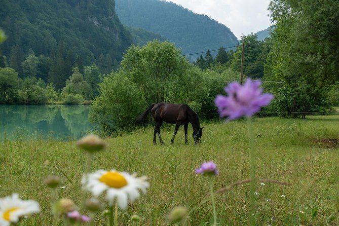 7 Alpine Wonders- Day Tour Bled, Soca valley, Slovenia - Why this Bled day trip works so well