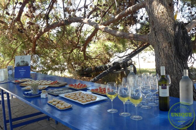 An Unforgettable Day With Fish, Wine and Olive Oil Tasting - Group size, timing, and comfort