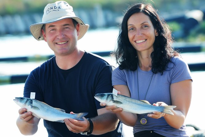 An Unforgettable Day With Fish, Wine and Olive Oil Tasting - The 11:00 a.m. start in Portorož