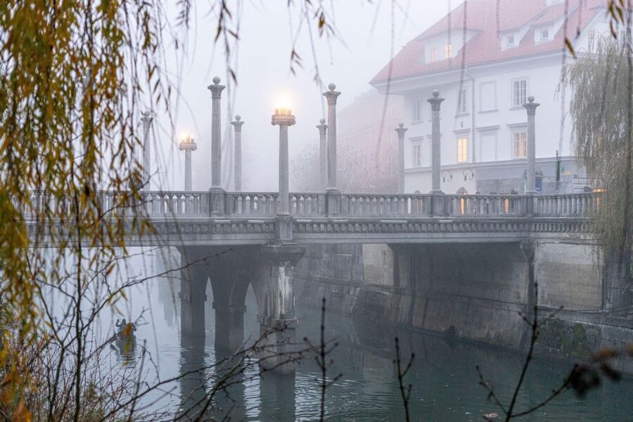 Best of Ljubljana: Private tour with Ljubljana born guide - Timing, languages, and practical fit