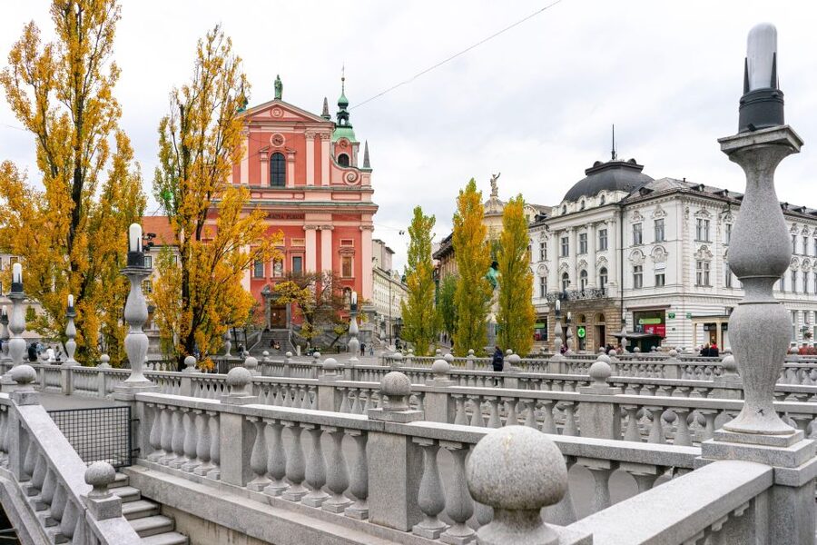Best of Ljubljana: Private tour with Ljubljana born guide - Dragon Bridge and Cobblers Bridge