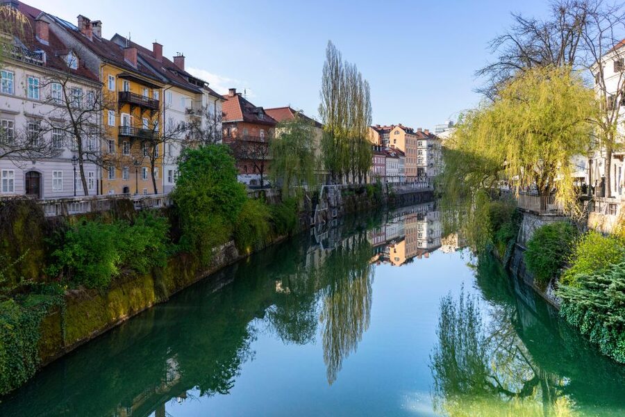 Best of Ljubljana: Private tour with Ljubljana born guide - What $212 means for your group