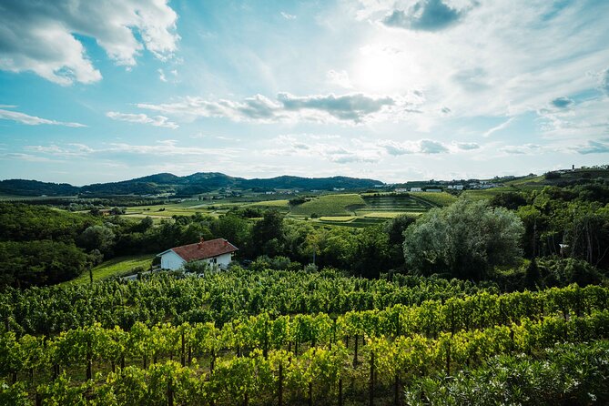 Bike Slovenia Green: Alps to Adriatic 8 days cycling tour - Day 6: Prosciutto, caves, and Lipica’s famous horses