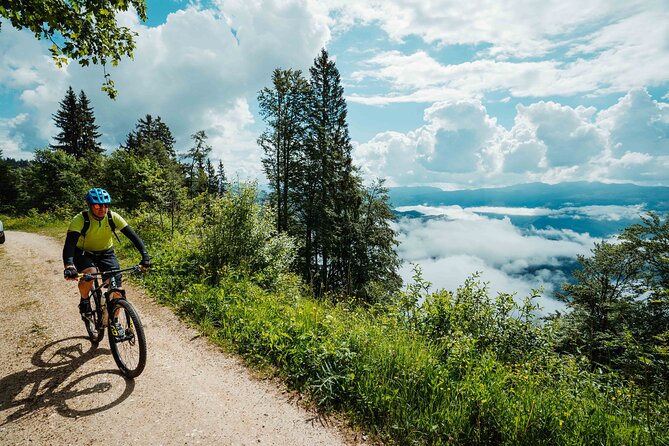 Bike Slovenia Green: Alps to Adriatic 8 days cycling tour - Day 7: Škocjan Caves, the Parenzana route, and Koper