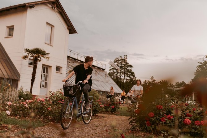 Bike Tour Ljubljana - Bike quality and riding comfort