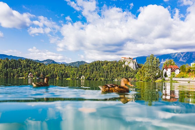 Bled & Bohinj lakes with Skofja Loka | Private trip from Ljubljana - Bled Castle: a high view with an extra ticket