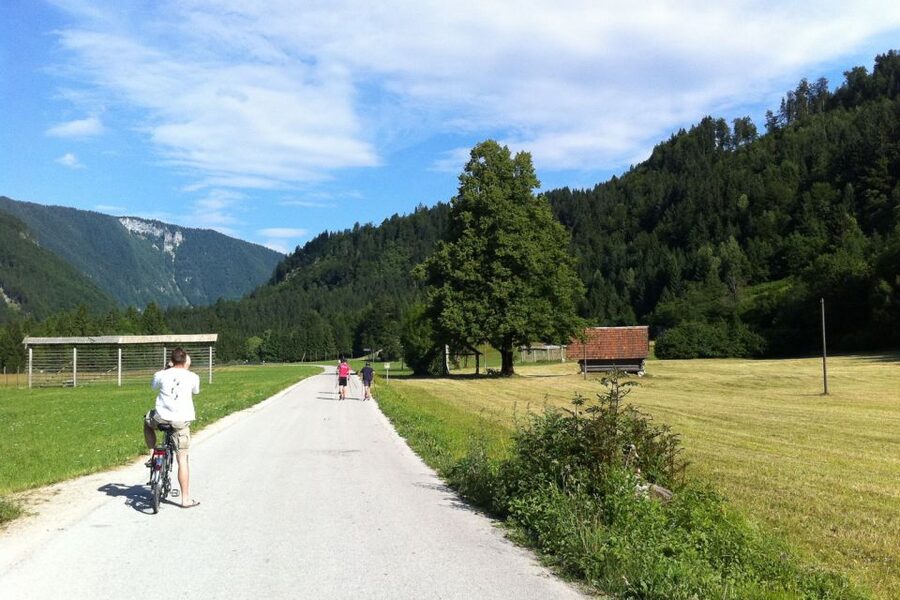 Bled: Mountain Bike Rental - Key points to know before you pedal away