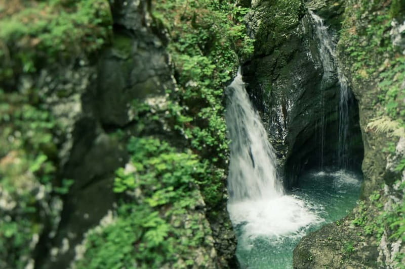 Bled: Triglav National Park Canyoning Adventure with Photos - Photos that capture the wettest moments