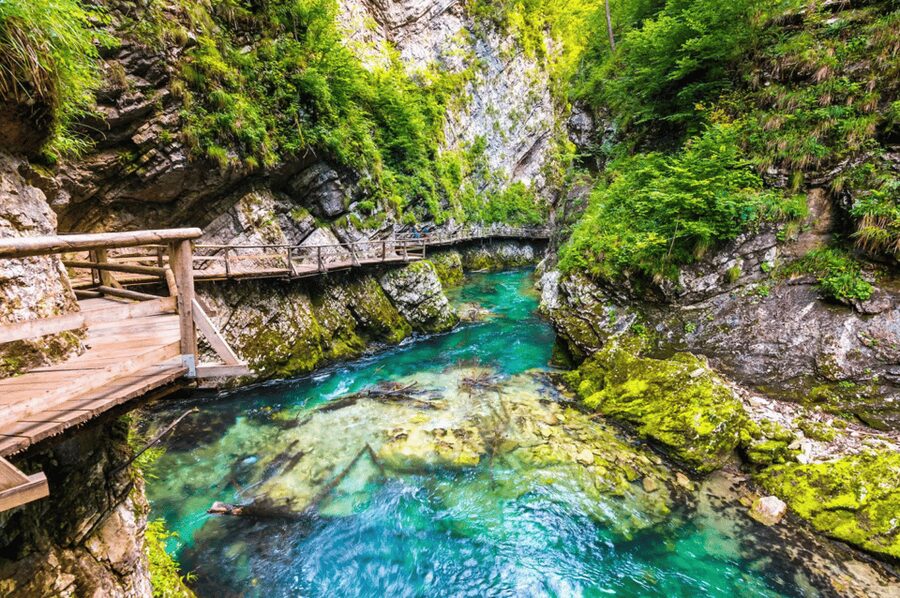 Bled: Vintgar Gorge Best Experience and Food Tasting - Wooden bridges, river spray, and an easy pace