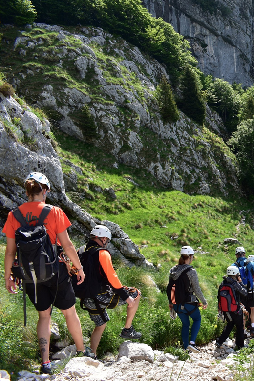 Bovec: Panoramic Zipline Tour - Who will enjoy this most?