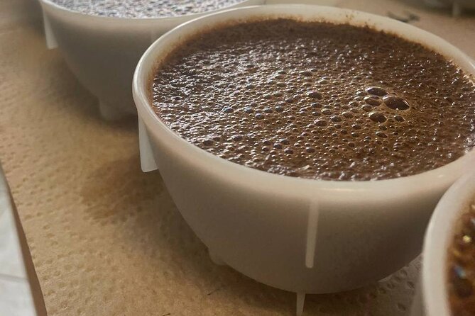 Coffee Sensory Training in Ljubljana - Calibrating your palate before tasting coffee