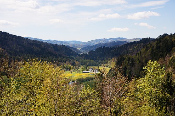 E-bike holidays: Trans Slovenia e-bike tour - Day 7: Vineyard roads and the hills of Vipava