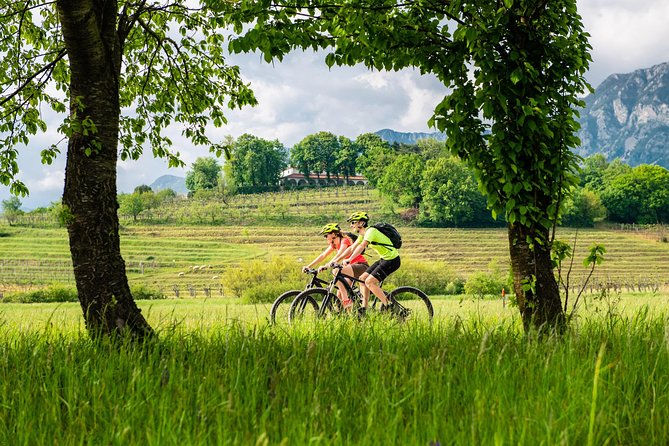 E-bike Vipava River Tour - Vipavski Križ and the first coffee stop