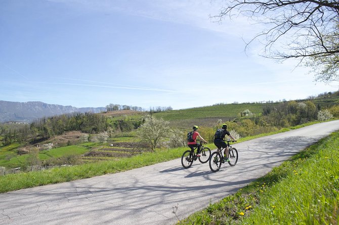 E-bike Vipava River Tour - Guides who adjust the ride to your group