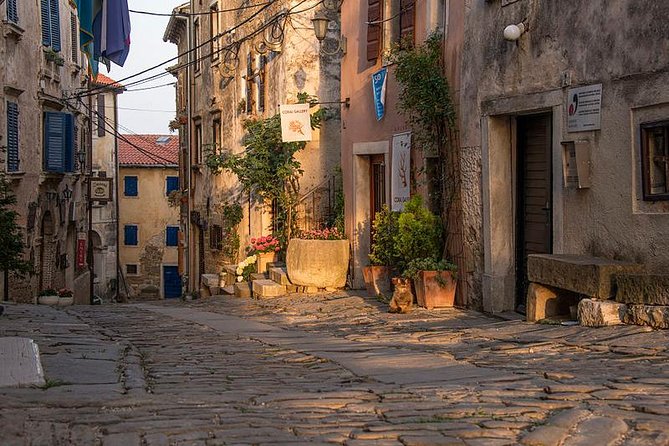 Flavours of Istria Tasting Experience from Koper - What you are likely to taste