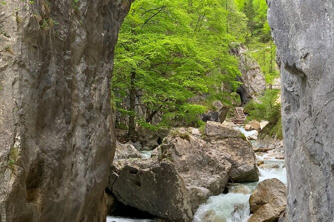 From Bled: Crystal River Hike - A clear river walk just outside Bled