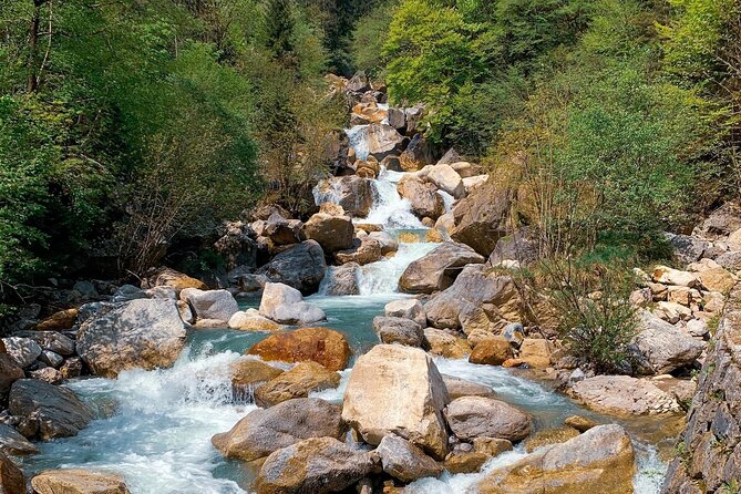 From Bled: Crystal River Hike - The $56.72 price and what you receive