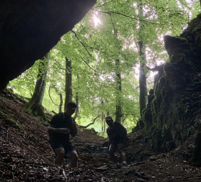 From Bled: Half-Day Pokljuka Gorge Trail Hike (Private) - Key points at a glance
