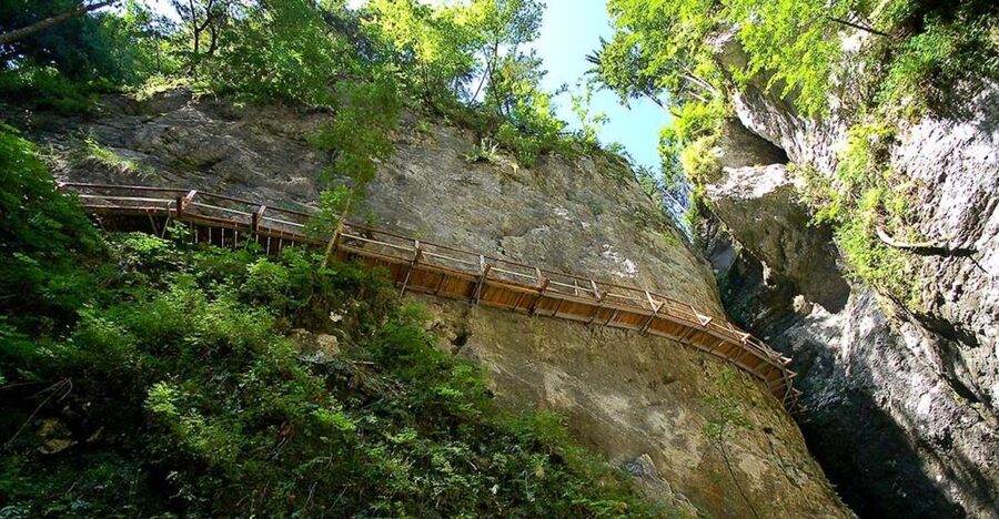 From Bled: Half-Day Pokljuka Gorge Trail Hike (Private) - Why Pokljuka Gorge makes a good change from Vintgar