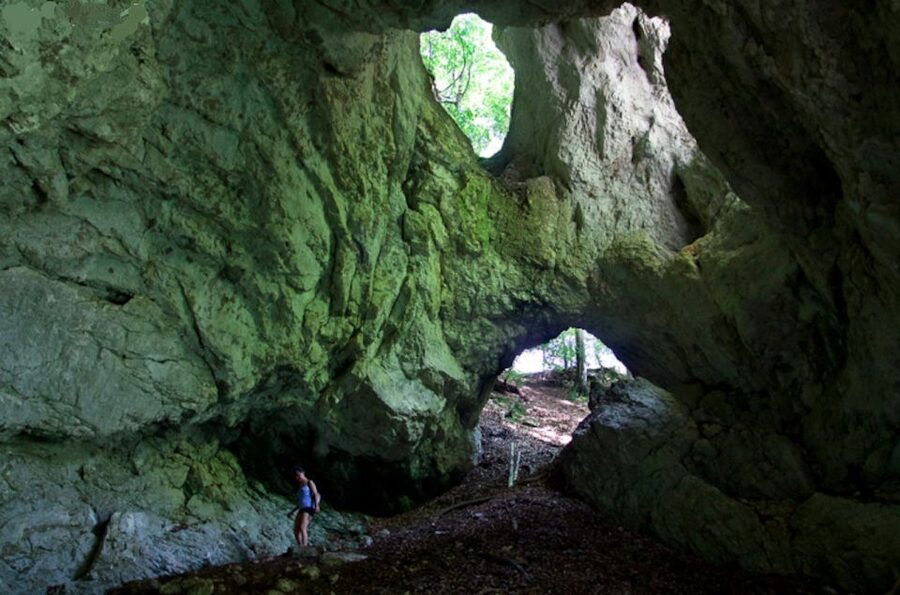 From Bled: Half-Day Pokljuka Gorge Trail Hike (Private) - The Discovery Trail: small gorge, streams, and secret passages