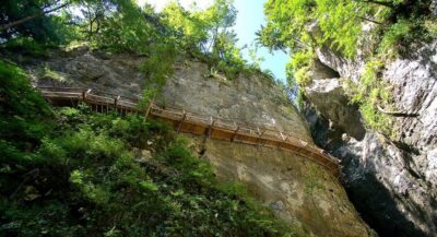 Half-Day Pokljuka Gorge Trail Hike (Private)
