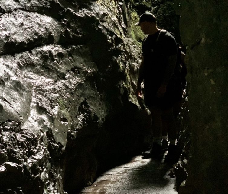 From Bled: Half-Day Pokljuka Gorge Trail Hike (Private) - What the viewpoints offer