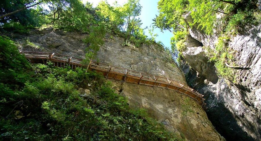 From Bled: Half-Day Pokljuka Gorge Trail Hike (Private) - Leaving Bled for Triglav National Park