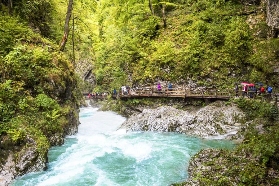 From Ljubljana: Day Trip to Bled and Vintgar Gorge - The pace, group size, and walking demands
