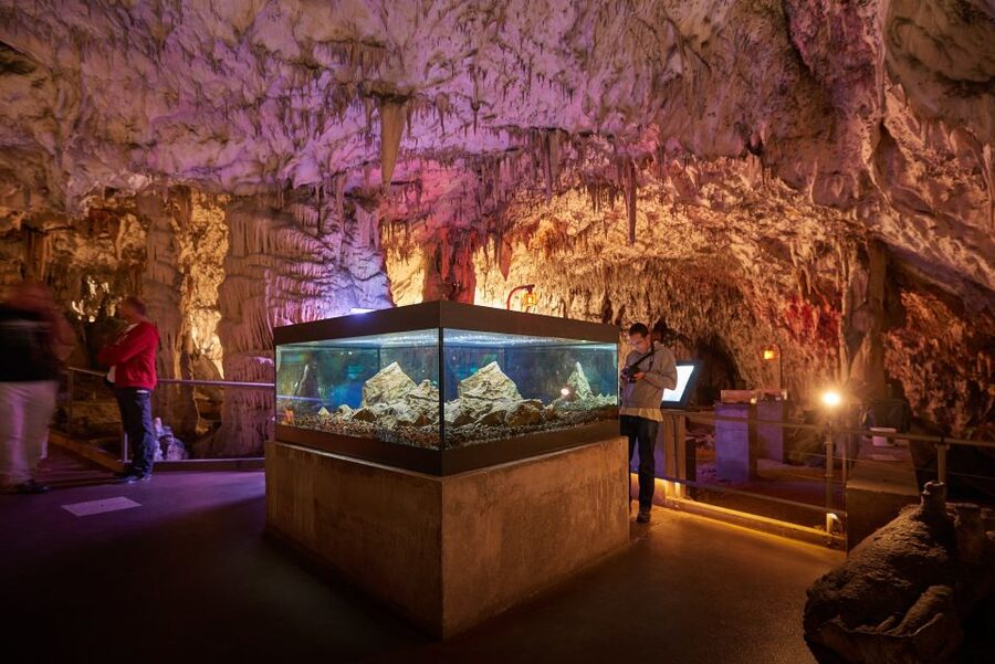 From Ljubljana: Lake Bled & Postojna Cave with Entry Tickets - Leaving Ljubljana in a small-group van