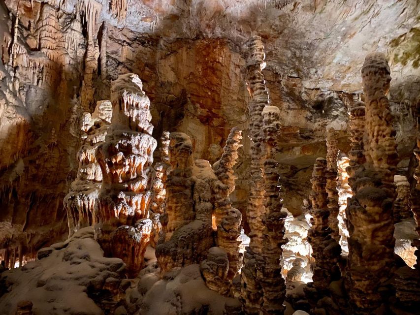 From Ljubljana: Postojna Cave Day Trip - The 8:30 AM Pickup From Ljubljana