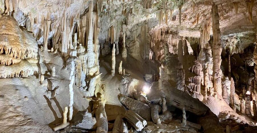 From Ljubljana: Postojna Cave Day Trip - The Train Ride Into the Underground