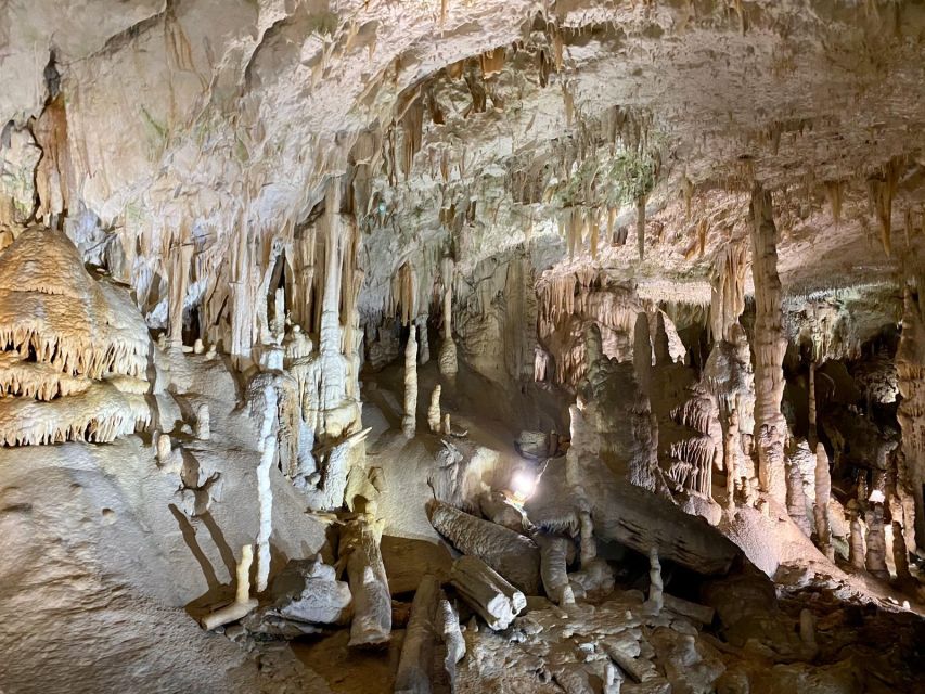 From Ljubljana: Postojna Cave Day Trip - The 105-Minute Guided Walk