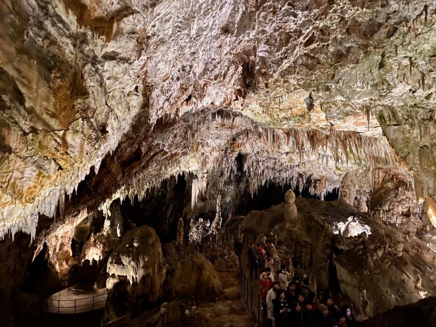 From Ljubljana: Postojna Cave Day Trip - Buying the Cave Ticket Before the 10 AM Entry