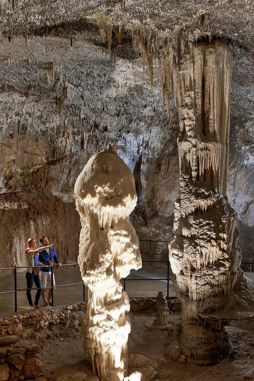 From Ljubljana: Postojna Cave, Predjama Castle, & Piran Tour - Should you book the Ljubljana to Piran day trip?