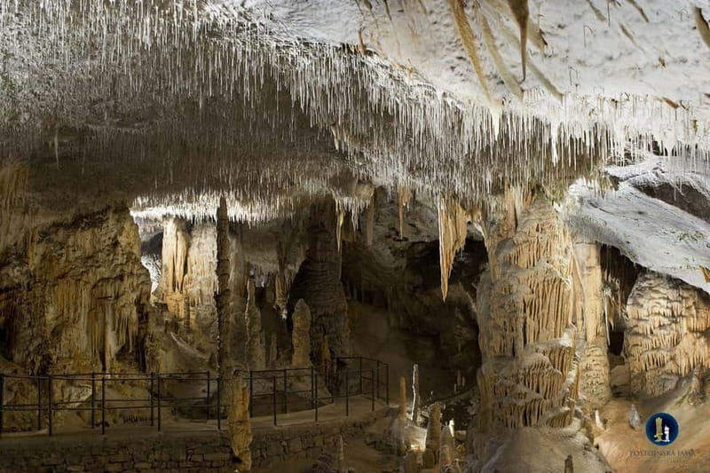 From Ljubljana: Postojna Cave, Predjama Castle, & Piran Tour - Predjama Castle: a fortress built into a cliff