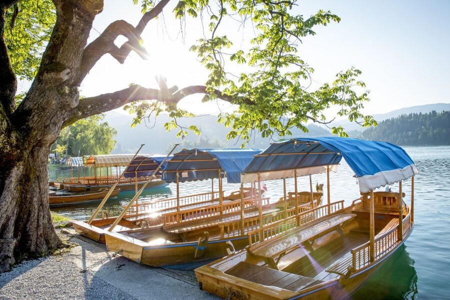 From Ljubljana: Trip to Lake Bled and Bled Castle - Who should choose this six-hour outing