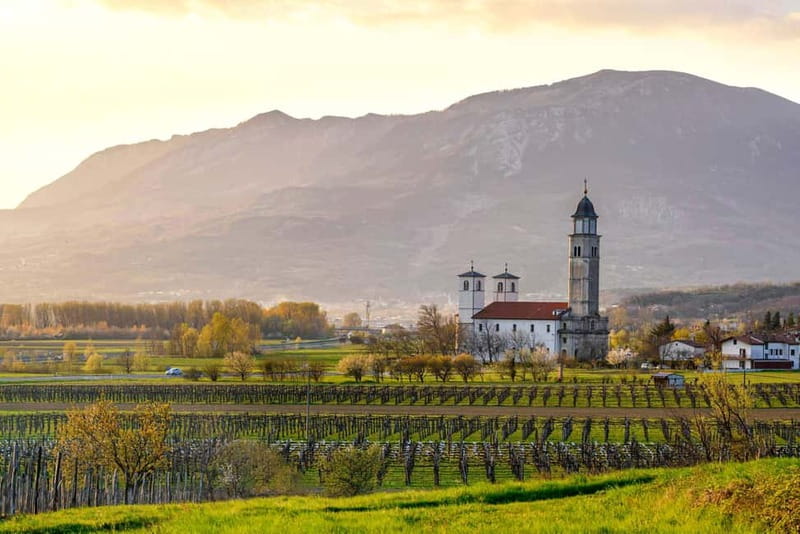 From Ljubljana: Vipava Valley Wine Express Tour - Key points to know before you book