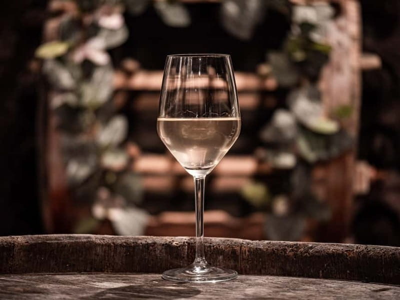 From Ljubljana: Vipava Valley Wine Express Tour - The guide and the pace