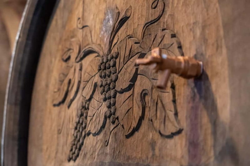 From Ljubljana: Vipava Valley Wine Express Tour - Who should take this tour