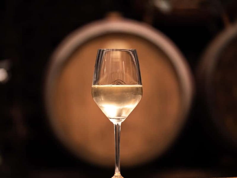 From Ljubljana: Vipava Valley Wine Express Tour - Why Vipava Valley is made for wine