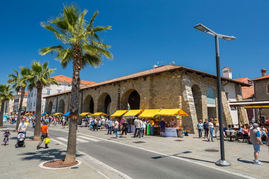 From Trieste: Piran and Slovenia Coast Tour - A coastal drive through Portorož, Izola, and Koper