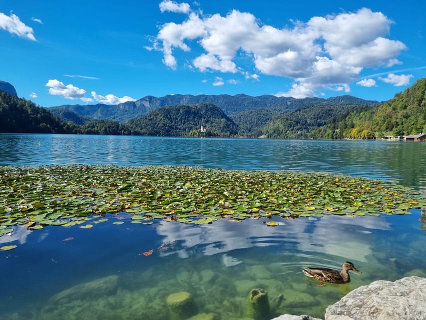 From Zagreb: Highlights Day Tour to Bled and Ljubljana - One Day, Two Slovenian Highlights