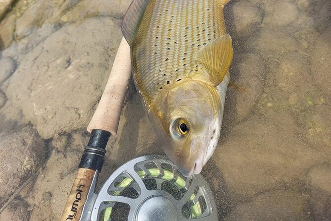 Full Day Private Guided Fishing Charter along the Isonzo Front - Fishing the Soča with the past underfoot