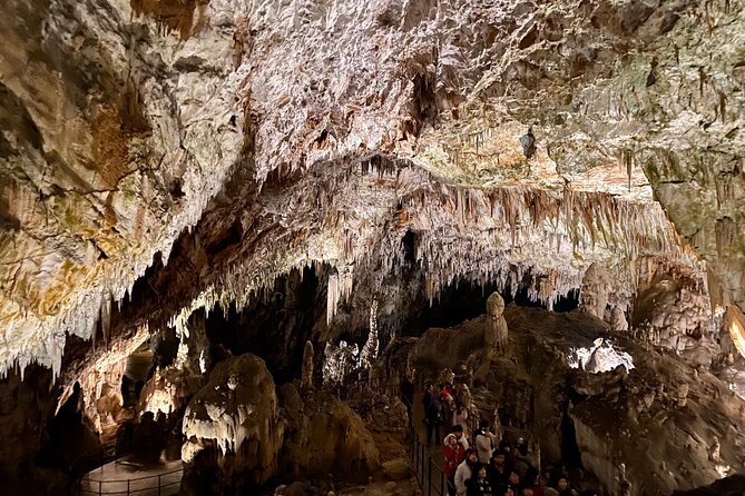 Full-day tour of Postojna Cave and Bled Lake From Ljubljana - Who should book this day out?