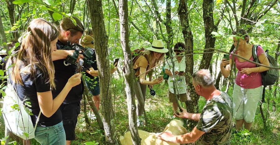 Gažon - Istria: Truffles Hunting & Cooking & Tasting - Why this Gažon experience feels different