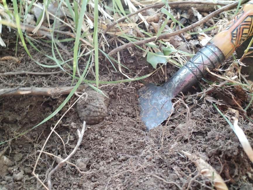 Gažon - Istria: Truffles Hunting & Cooking & Tasting - Weather, timing, and practical comfort